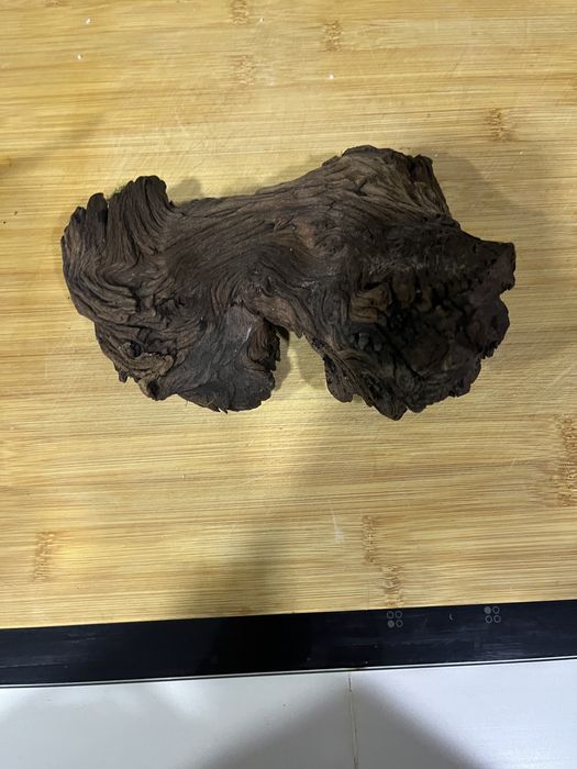 Troncos para aquário/terrário