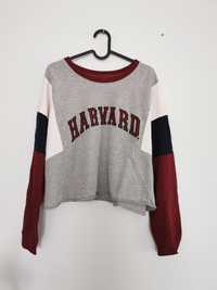 Bluza oversize Asos crop top Harvard