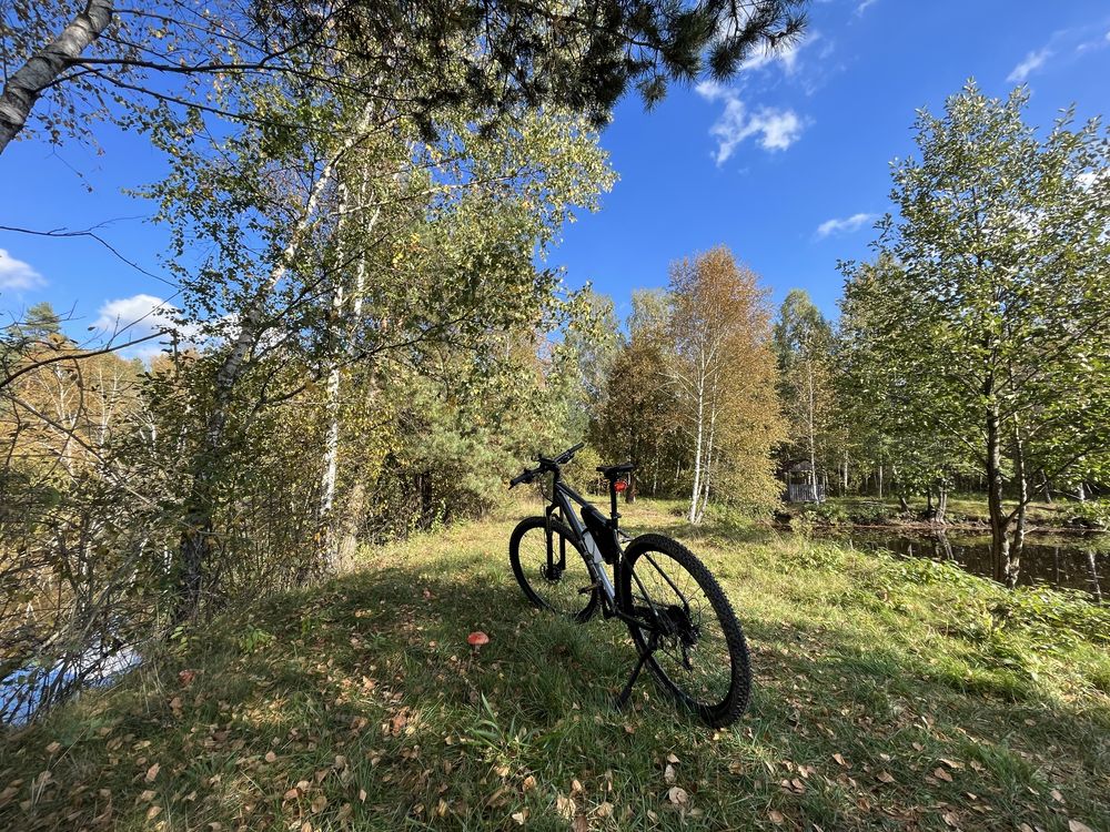 Cube AIM SL 29 XL