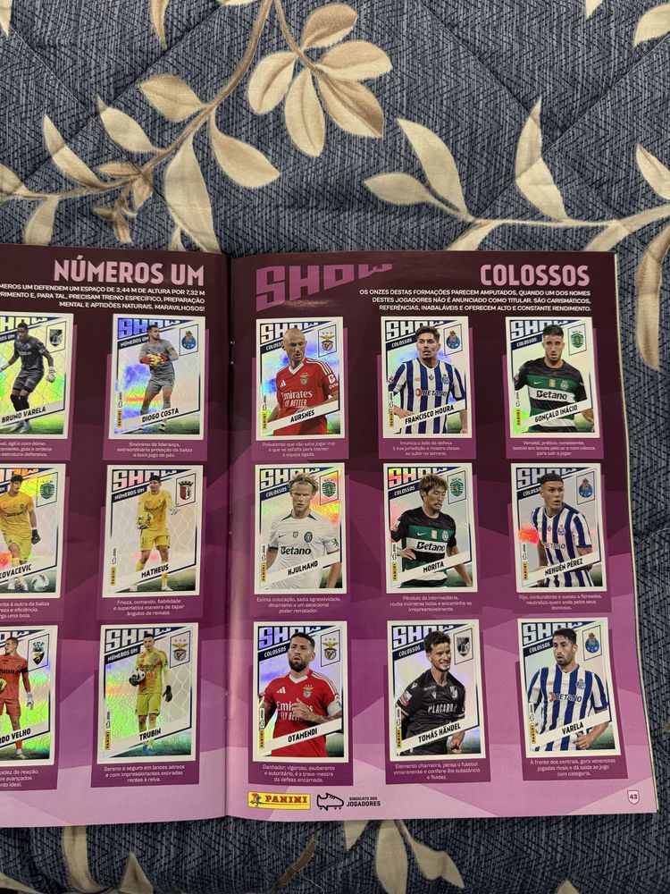 Caderneta Futebol 2024/2025