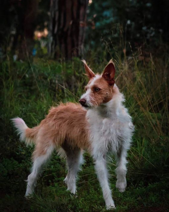 Sessões de fotografia