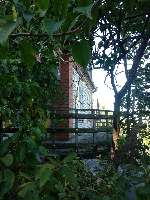 Будинок з земельною ділянкою 7 соток