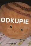 ODKUPIE poduszka cynamonka biedronka