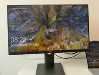 Monitor DELL P2419H