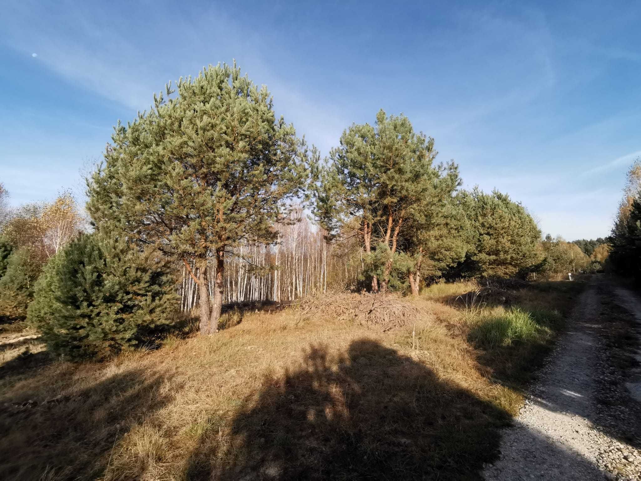 Działka budowlana w Ciekotach