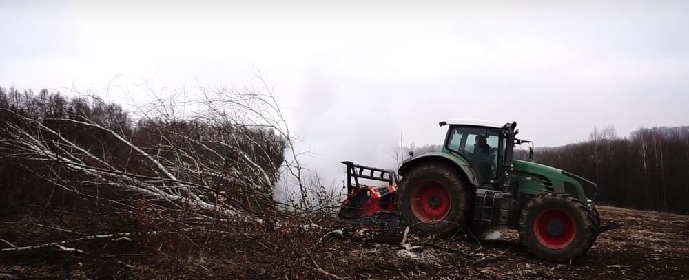 Wycinka drzew metodą alpinistyczną, czyszczenie działek