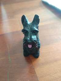 Scottish Terrier