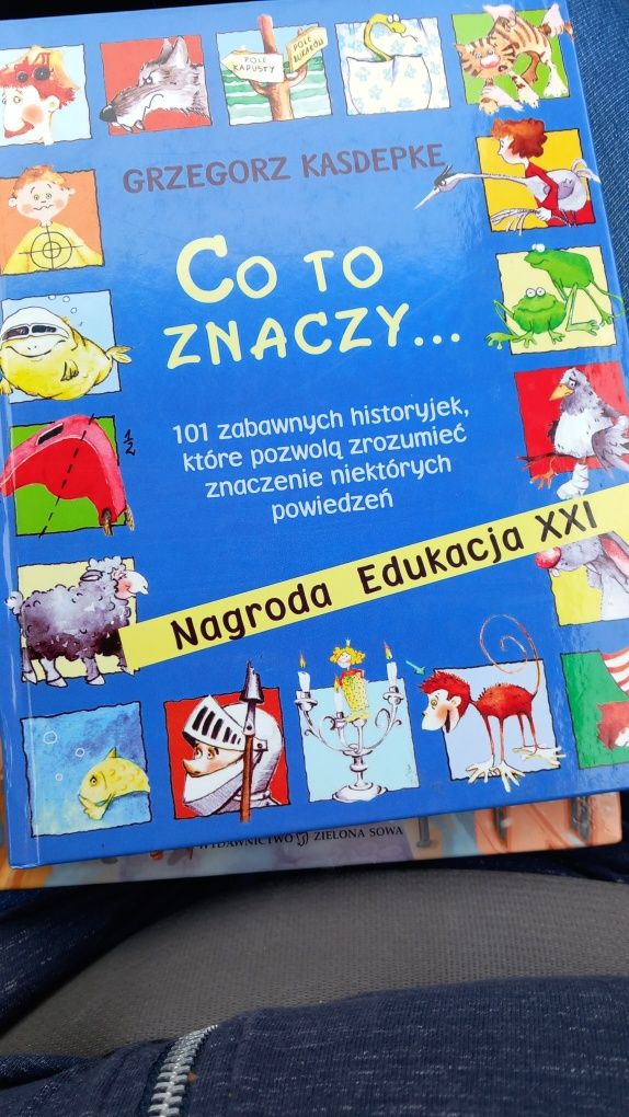 Co to znaczy... książka  Grzegorz Kasdepke