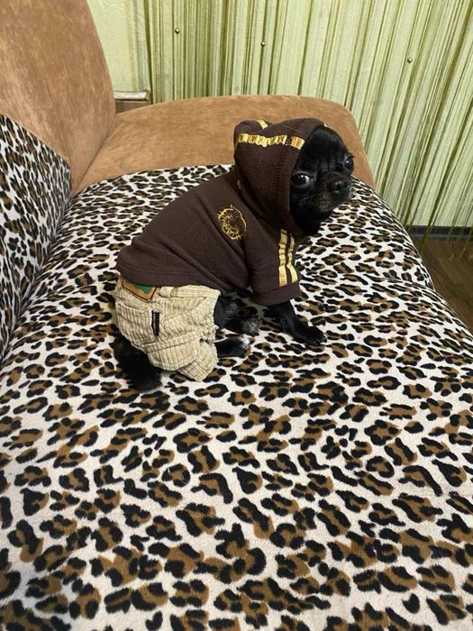 Комбенизон для собаки