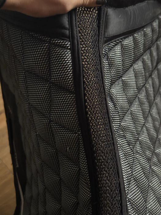 Sprzedam czaprak  skokowy HV POLO