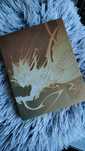Steelbook Final Fantasy Type 0 HD G2