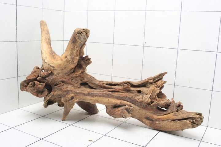 Korzeń Mangrowiec Horn 50x30x22cm do Akwarium lub Terrarium H17