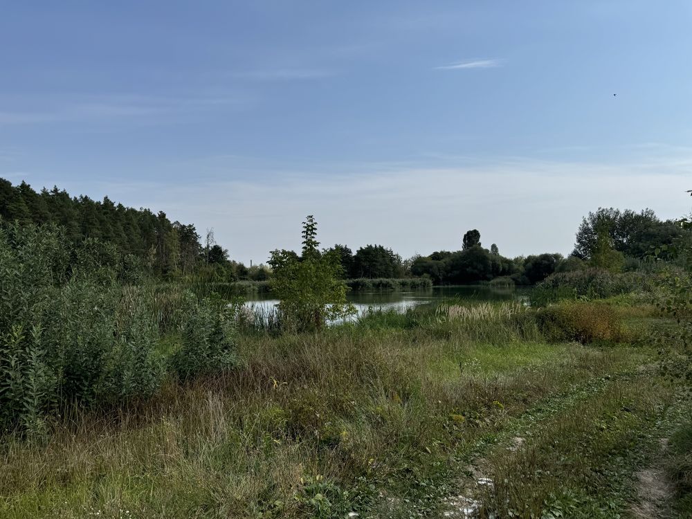 ТЕРМІНОВО Земельна Ділянка 6 соток Житомир район Антоновича Власник