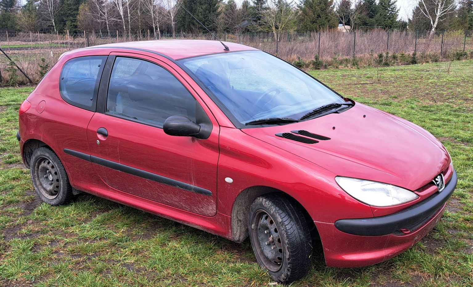 Peugeot 206 benzyna 1.1 lakier EKQ  silnik TU1JP cały na części