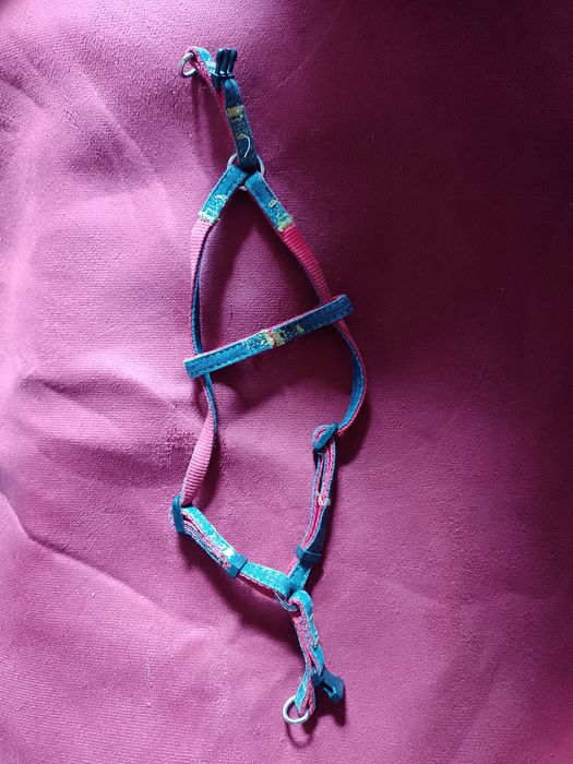 Повідець котику до 8 кг ваги тварини