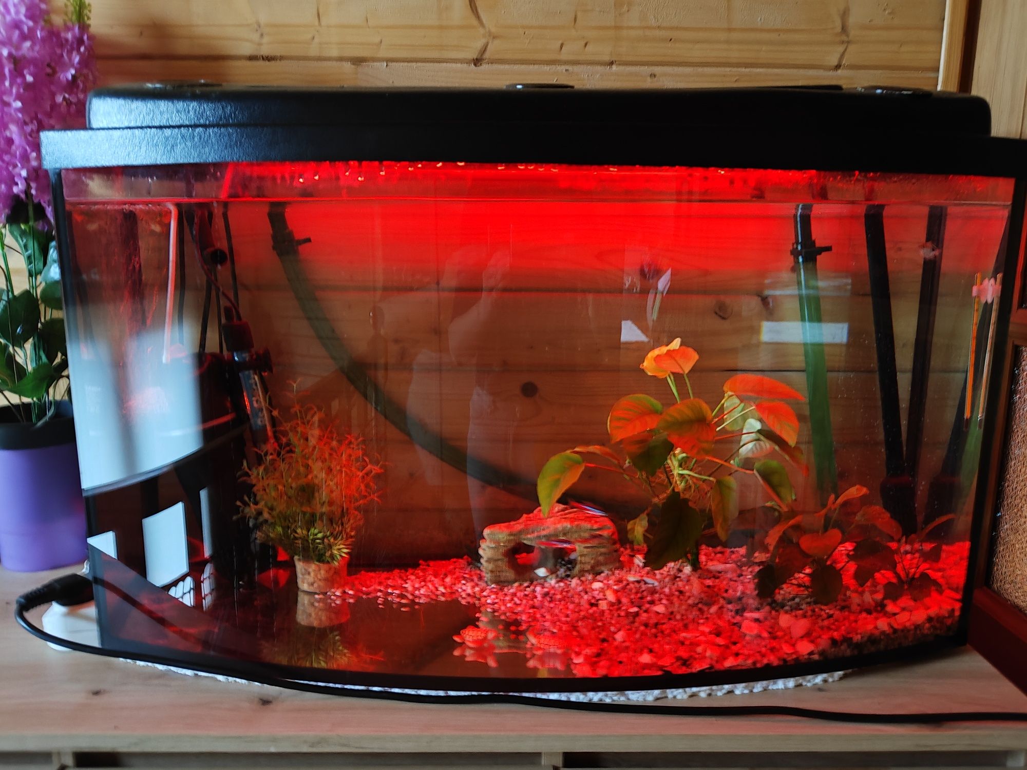 Akwarium profilowane 140l z pokrywą zestaw LED RGB filtr grzałka