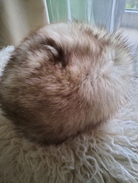 Czapka zimowa jasna .