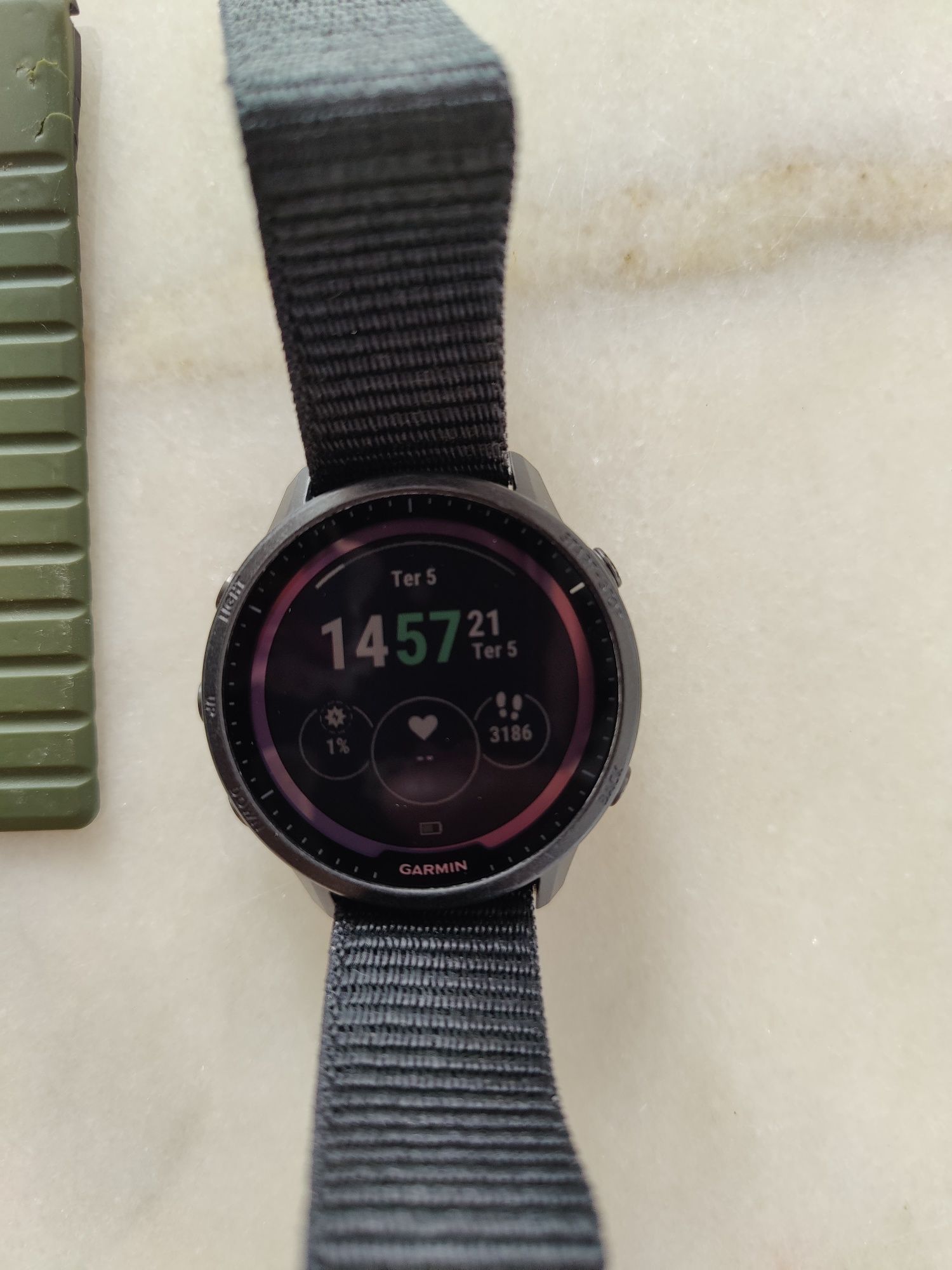 Garmin forerunner 955 solar