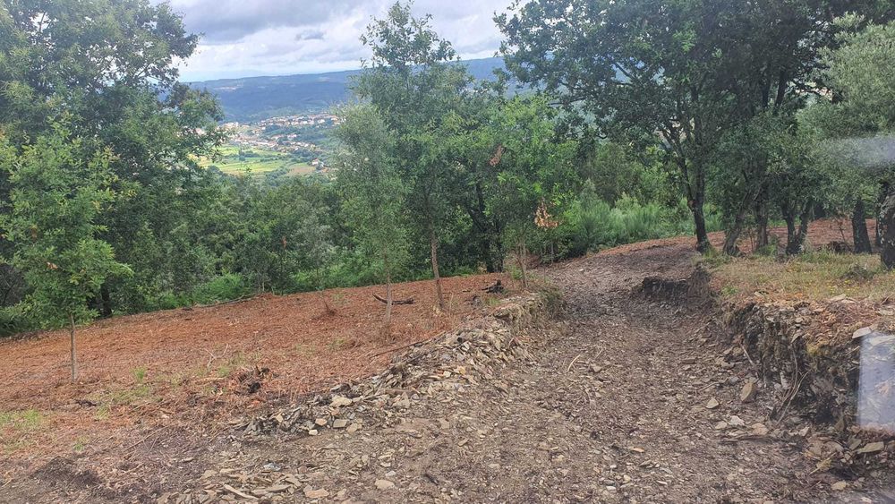 Terreno 1,2 ha com viabilidade de construção – Esculca
