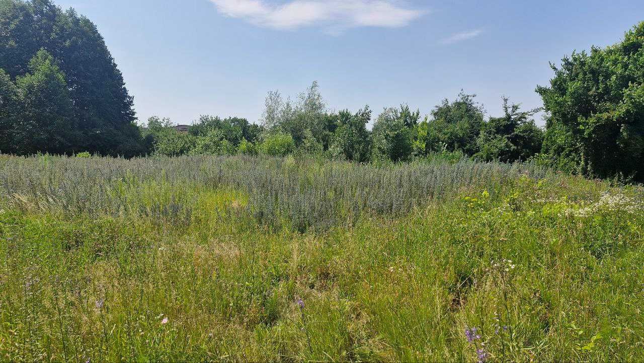 Земельна ділянка в Дахновці