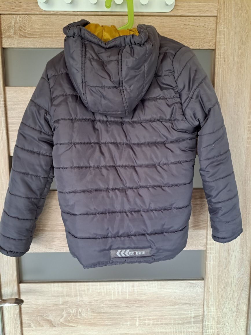 Kurtka Coccodrillo 122 zimowa