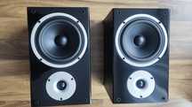 Kolumny Wilson Raptor 3