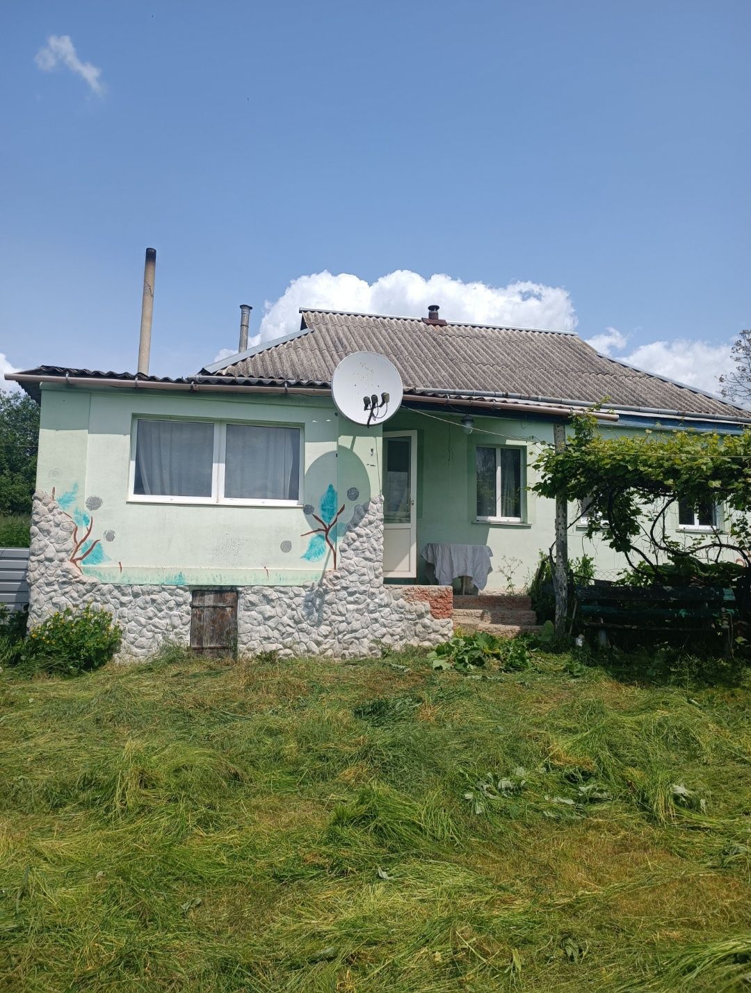 Продам будинок в с. Дмитренки, Київської  області
