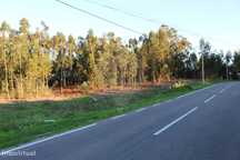 Terreno  para Venda