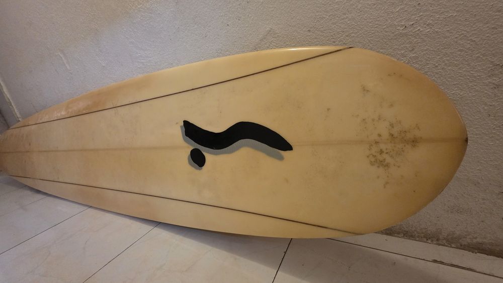 Long Board Semente 9.0 shaped by COYOTE