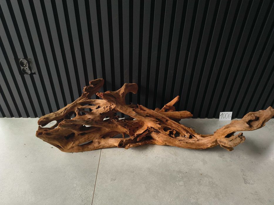 Korzeń MANGROWCA XXXL 1008 akwarium terrarium 210x140x40 Unikat Duży