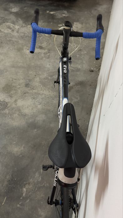 Focus Cayo Evo Carbono