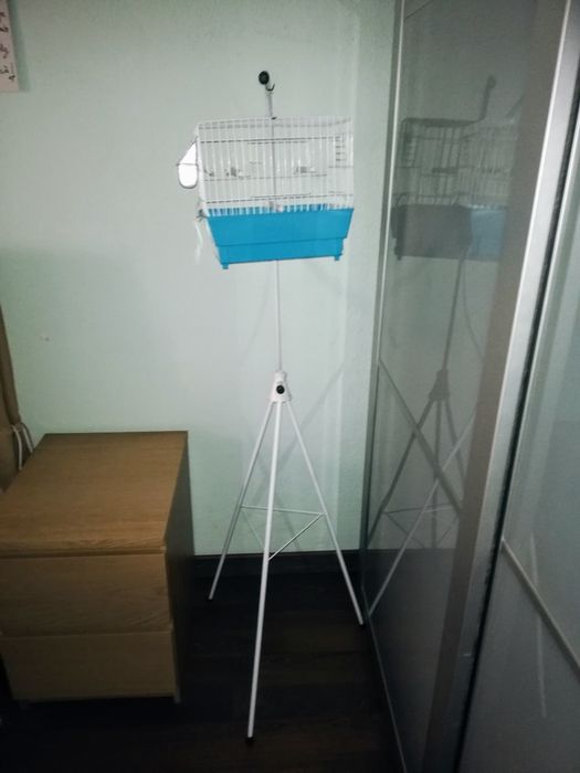 Uma gaiola para pássaro e tripé
