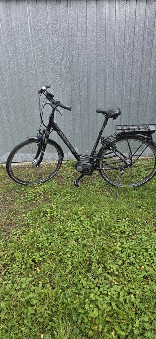 Rower damski elektryczny gudereit
