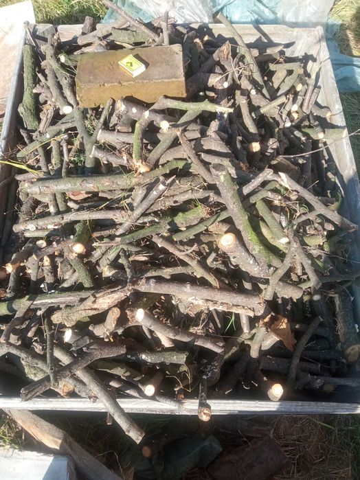 suche drewno liściaste do kuchni i kominka Klementowice 1mp