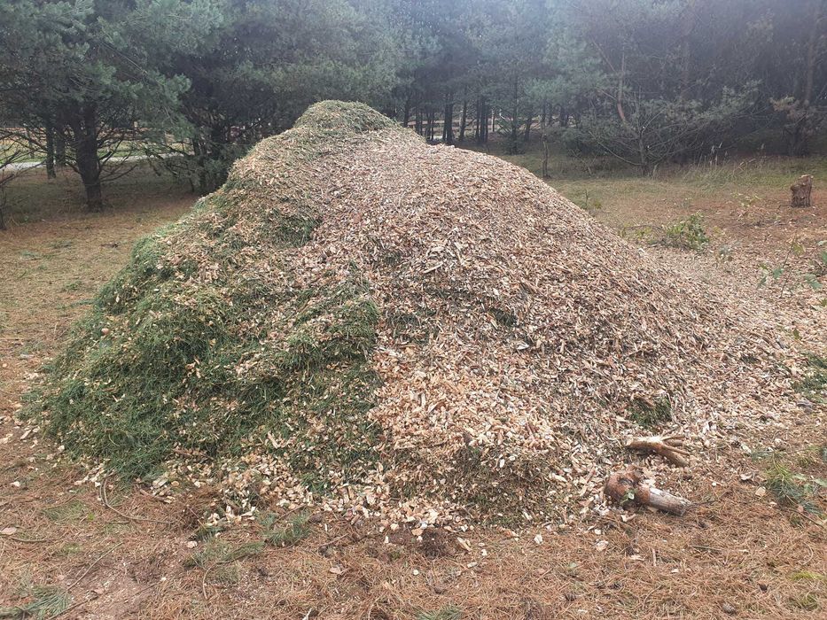 zrębka drzewna zrembka opał podsypka