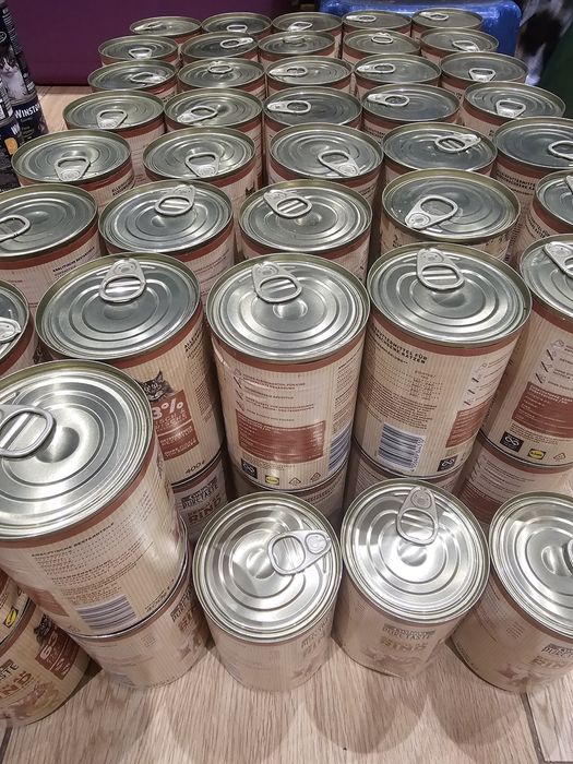 Sprzedam mokrą karmę Coshica 37szt