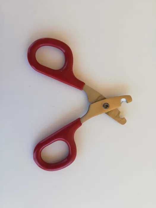 Tesoura Corta-Unhas para Aves Pequenas