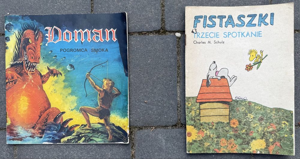 Tytus Romek Kloss Szarlota Paweł Aquariusa Dziesięciu i inne komiksy.