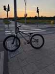 Rower dirt kellys whip 10