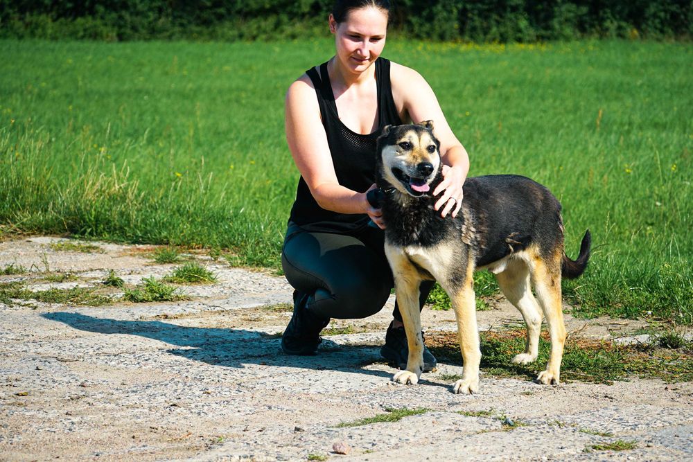 MIMEK - świetny psiak szuka domu