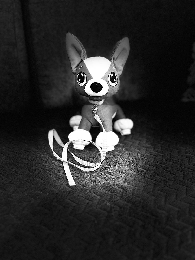 Zabawka Boogie Junior szczeniaczek Chihuahua