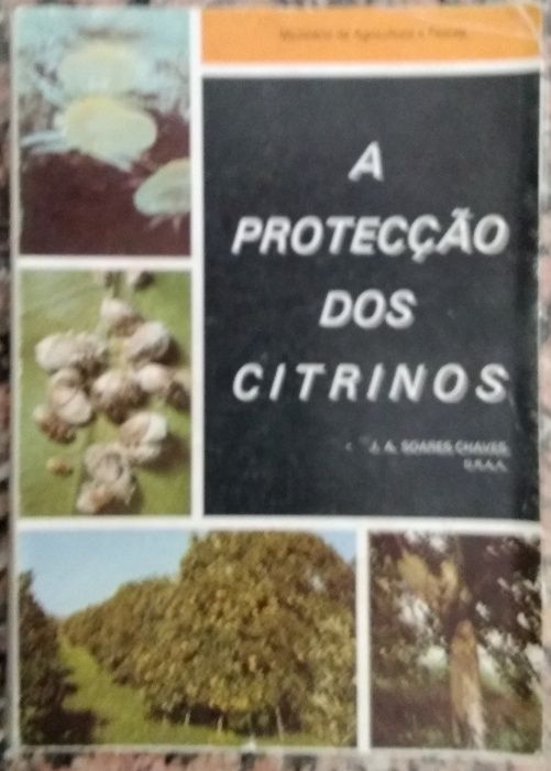 A proteção dos citrinos