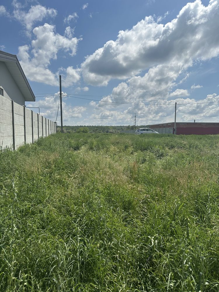 продаж земельноЇ ділянки Новоалександрівка