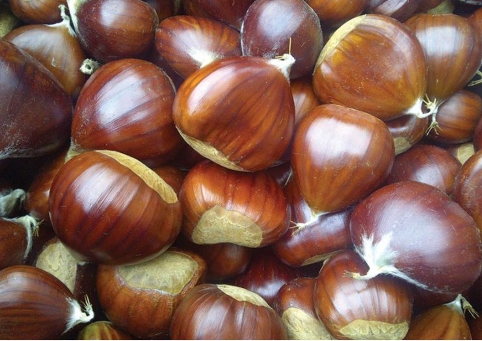 Castanhas graudas