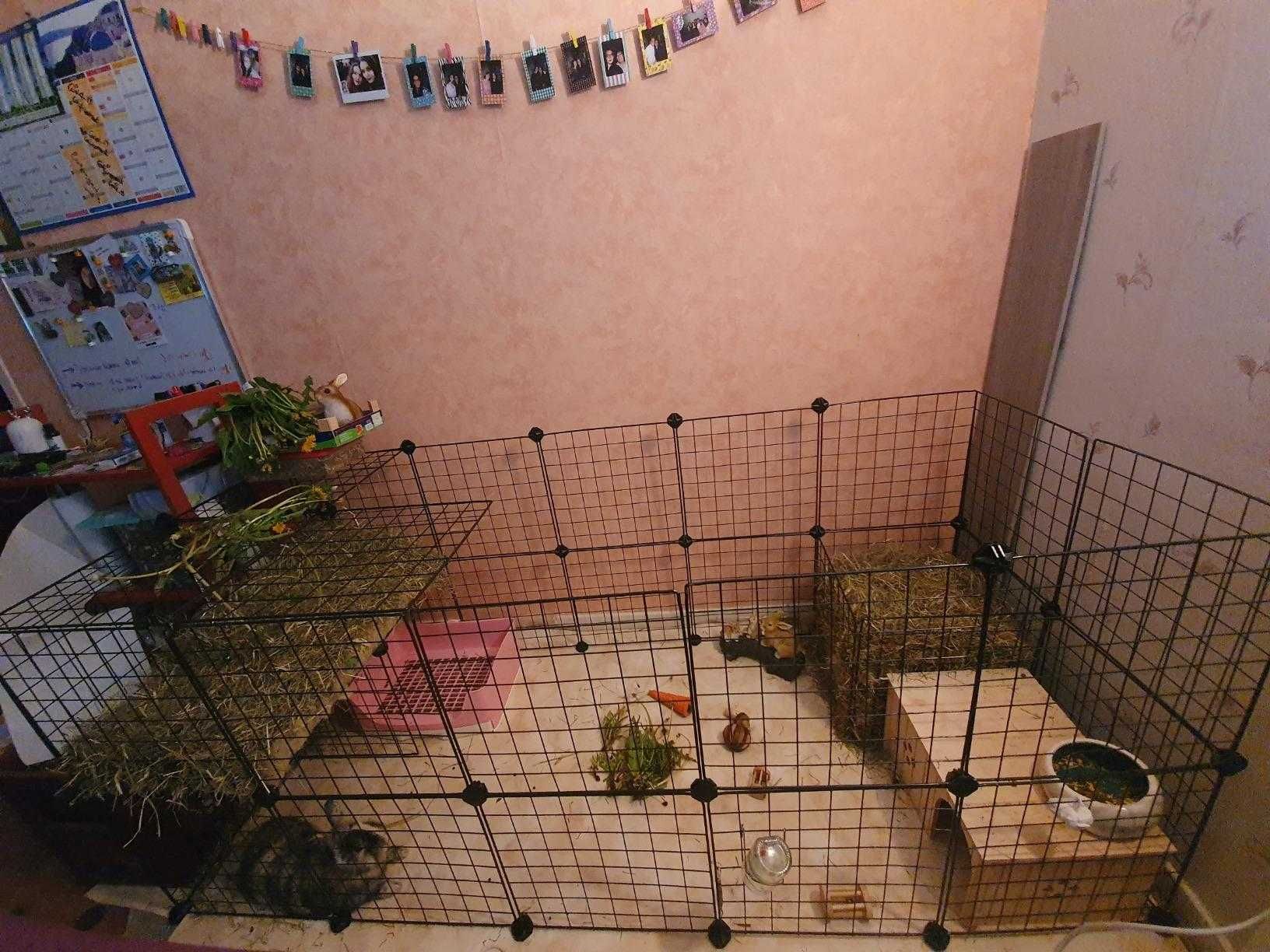Wybieg NOWA Klatka Kojec dla KRÓLIKA Świnki Chomika PSA Modułowa DUŻA