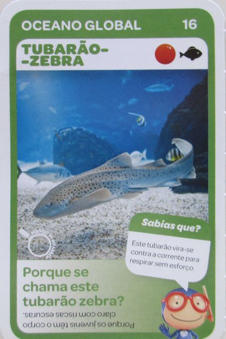 Super Animais 2 - - - Vida Marinha - Cartas Soltas Pingo Doce - Cromos