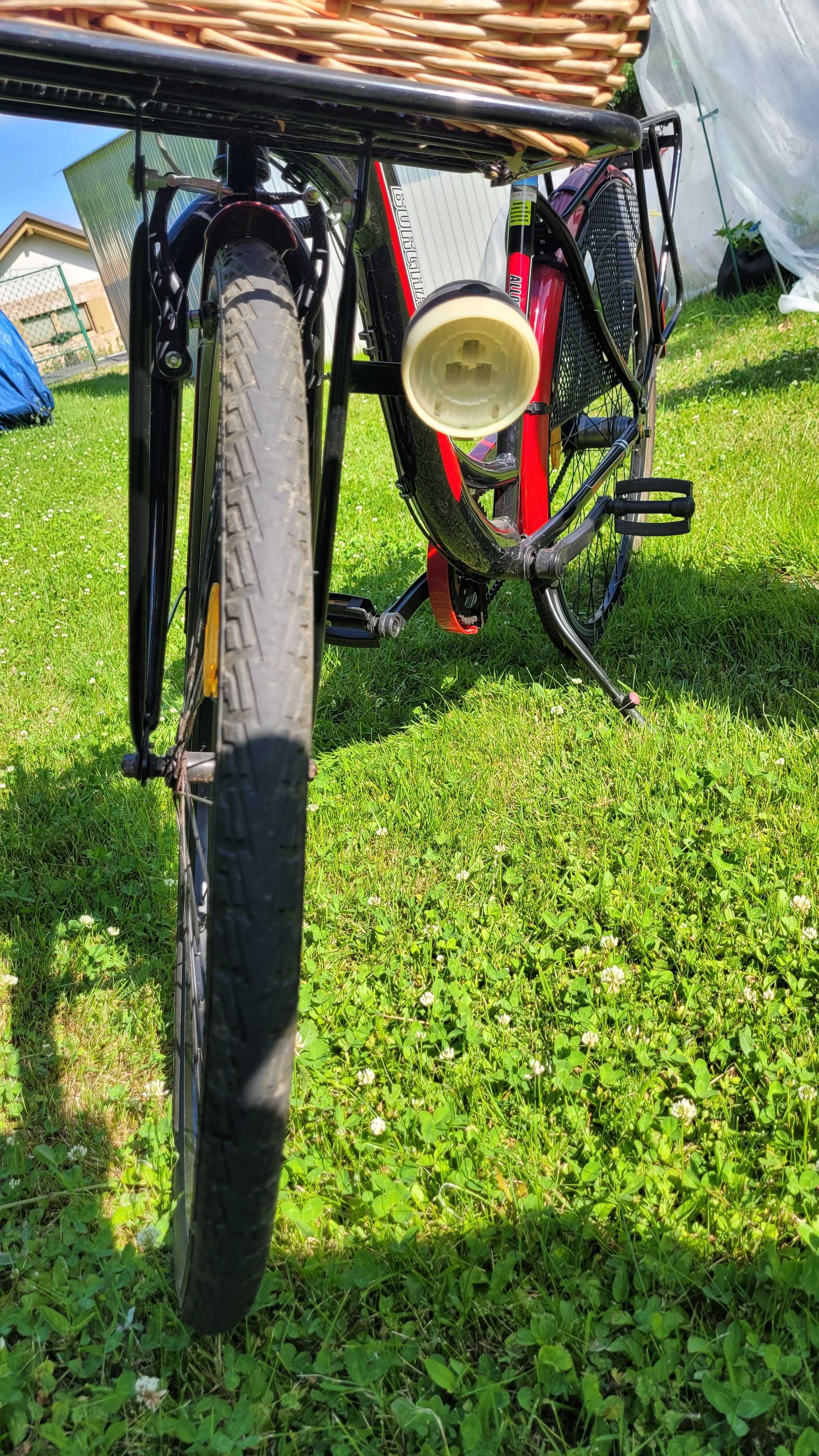 rower burghardt z koszykiem
