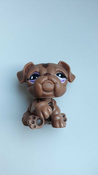 Pet shop LPS Buldog Brązowy, UNIKAT #881