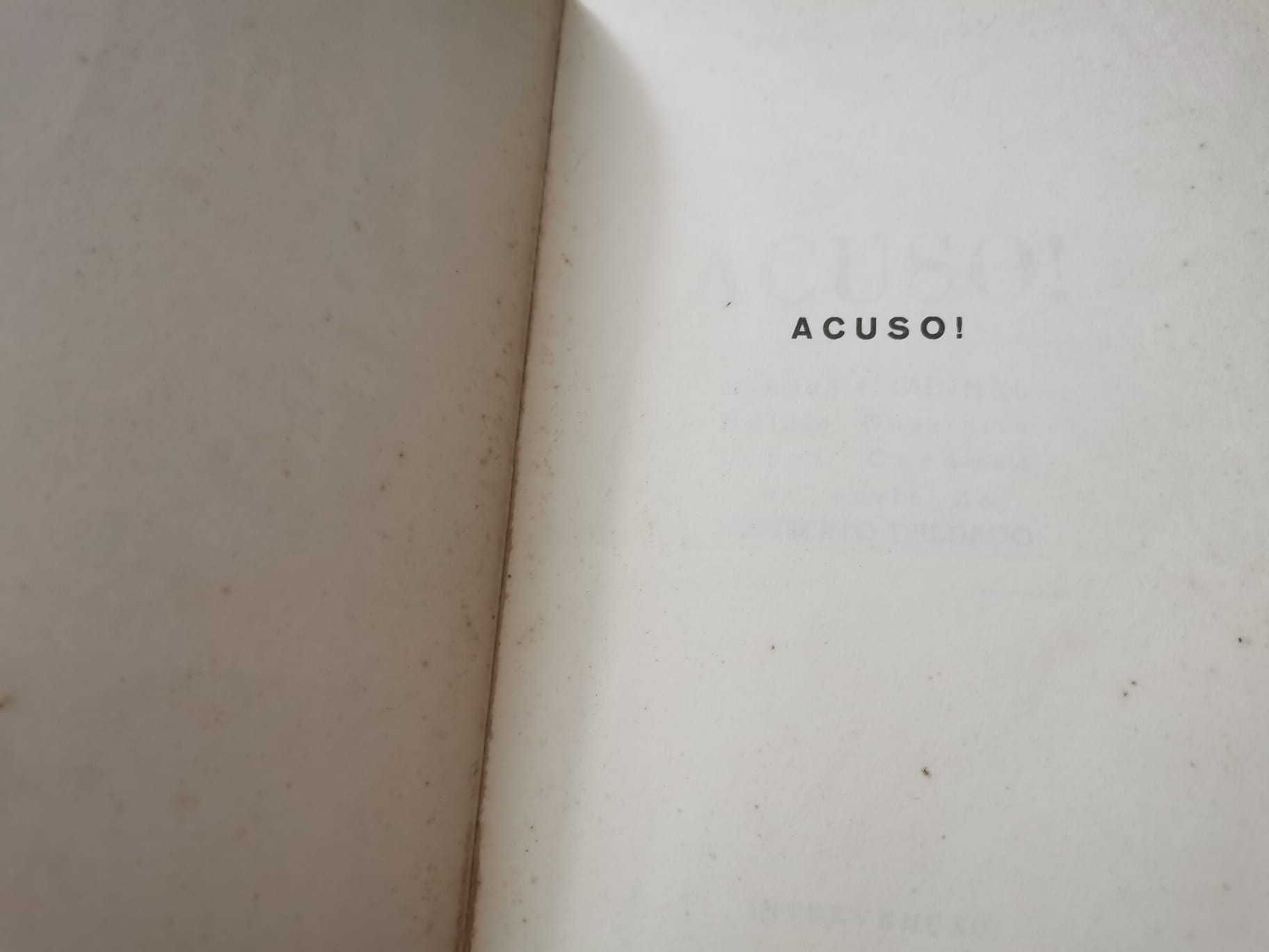 Acuso - Henrique Cerqueira