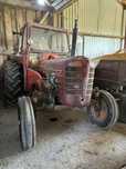 Zetor 3011 Major